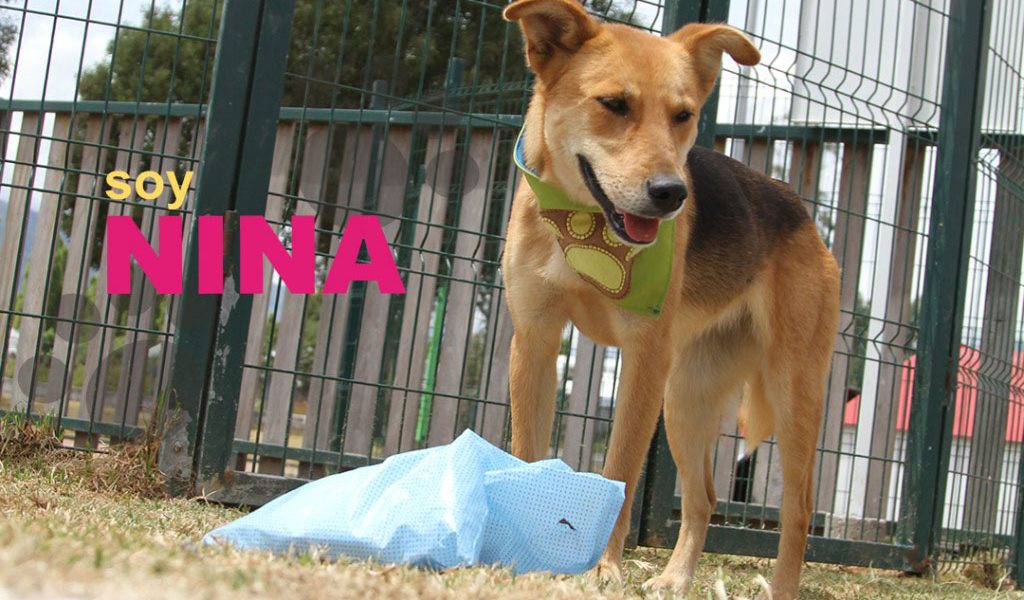 Nina