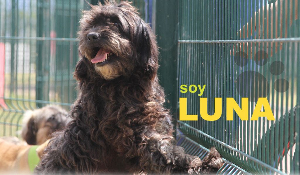 Luna