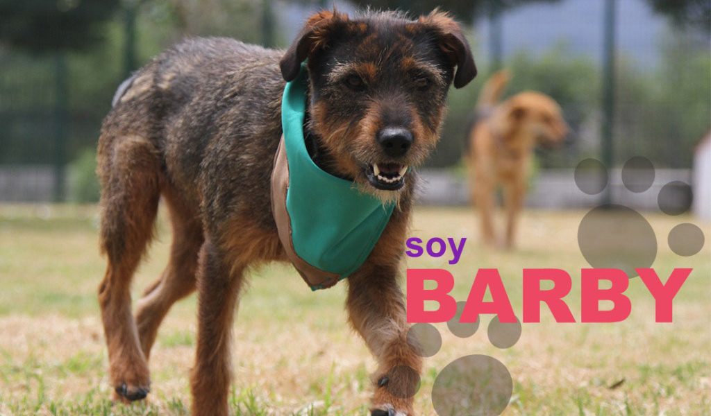 Barby
