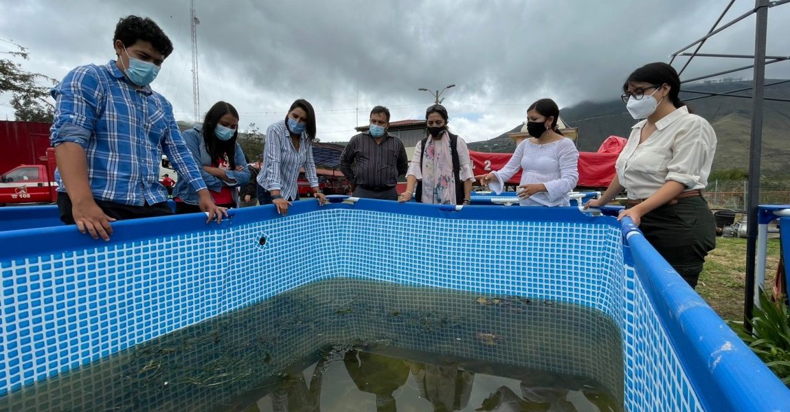 EL PROYECTO DE RECUPERACIÓN DE YAHUARCOCHA AVANZA CON LA REMEDIACIÓN AMBIENTAL MEDIANTE JARDINES FLOTANTES