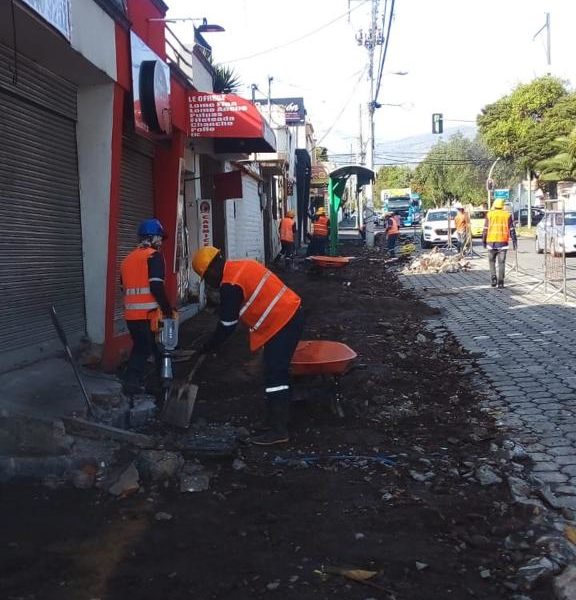 JUEZA RECHAZA ACCIÓN DE PROTECCIÓN QUE BUSCABA PARALIZAR LA OBRA DE LOS CEIBOS