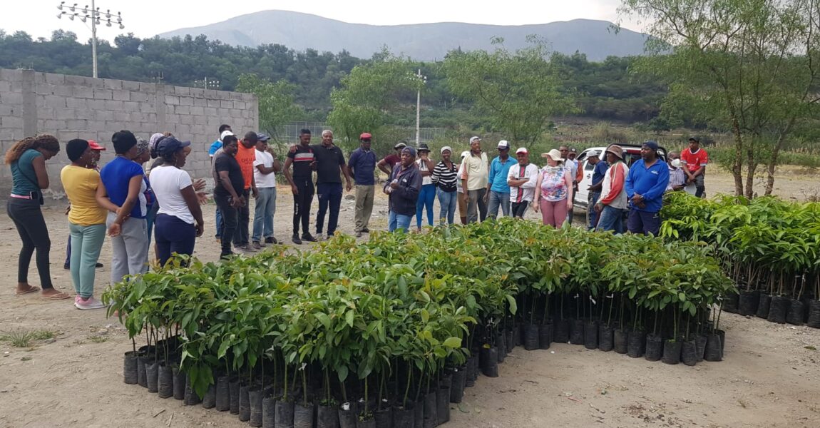 450 FAMILIAS AFRODESCENDIENTES SE BENEFICIAN DEL PROYECTO SOBERANÍA ALIMENTARIA