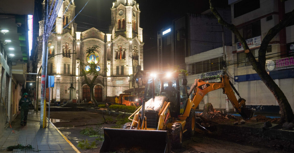 IBARRA APUESTA POR UN ECOSISTEMA URBANO MÁS SEGURO, MEDIANTE EL PLAN DE RENOVACIÓN FORESTAL EN LA AV. PÉREZ GUERRERO